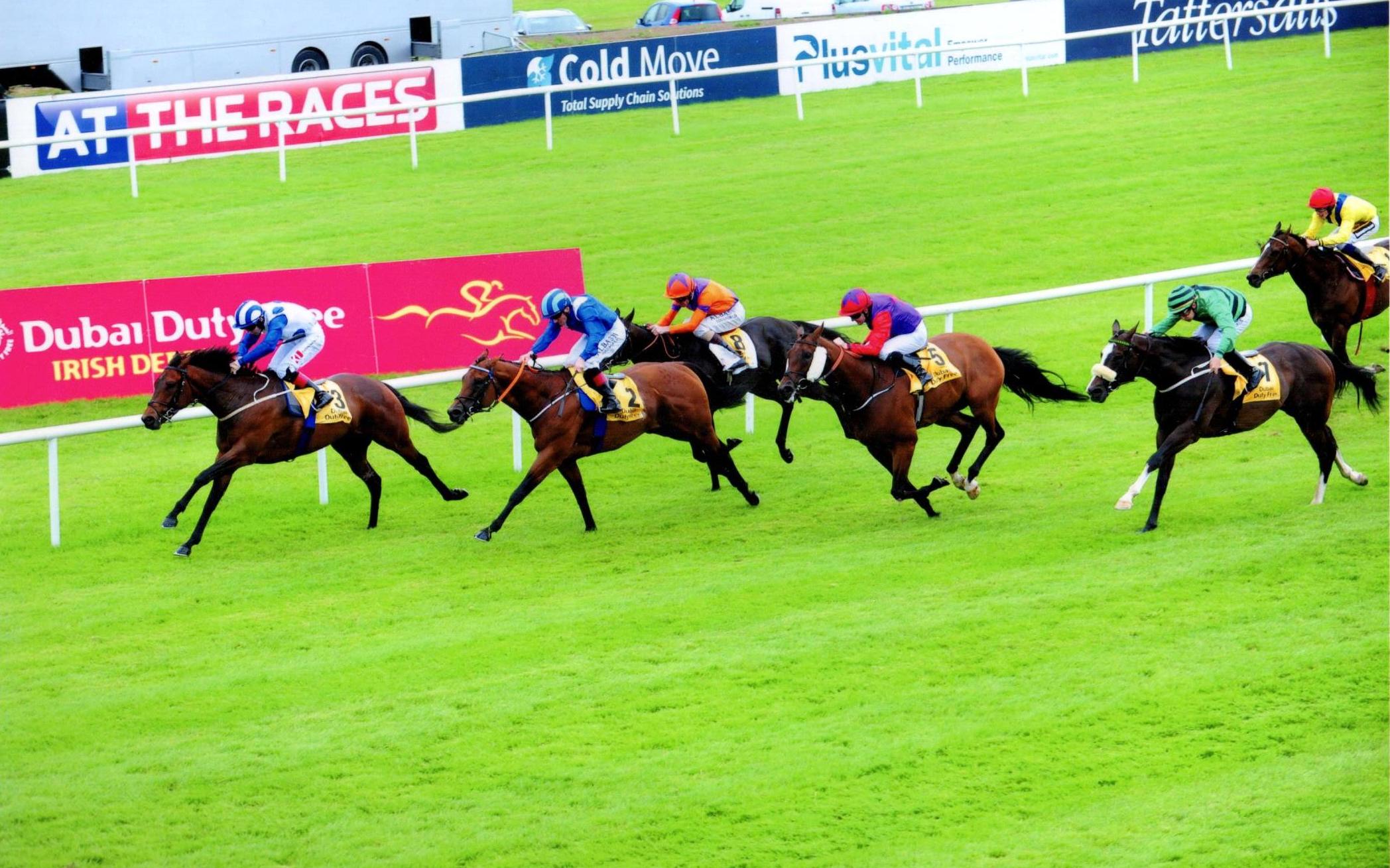 TONY THE GENT winning at The Curragh on Derby Day 1st July 2017